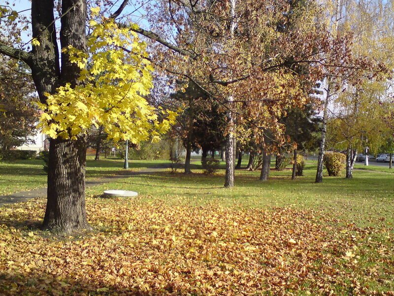 foto-4820.jpg