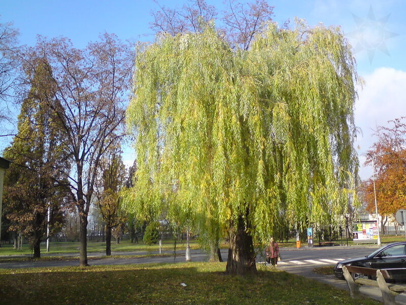 foto-4846.jpg