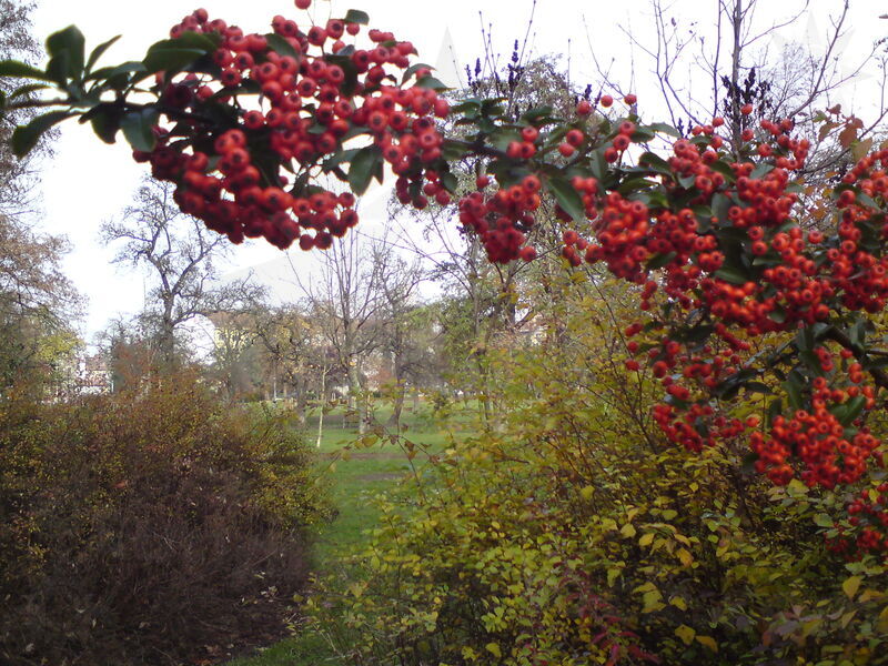 foto-4912.jpg