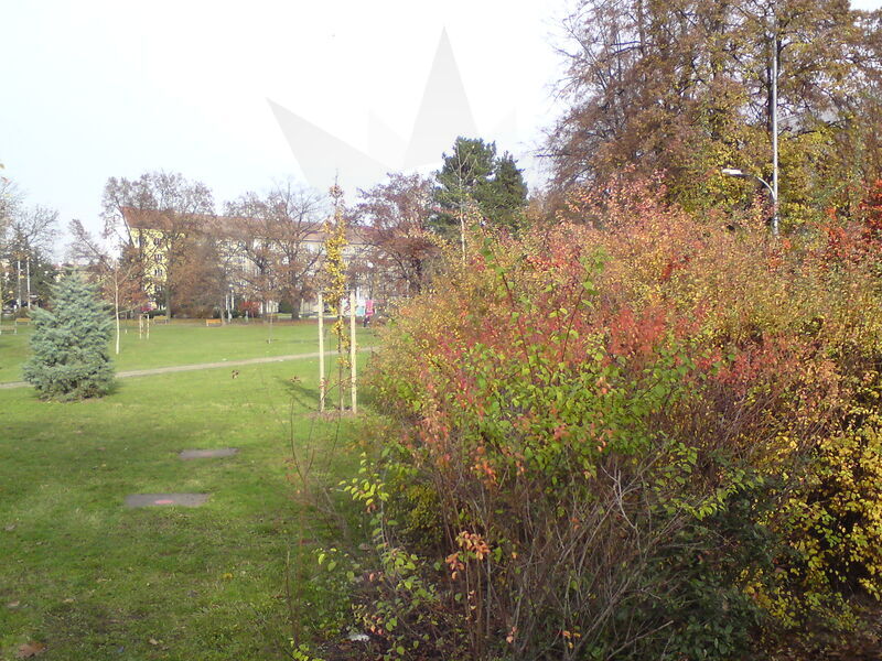 foto-4914.jpg