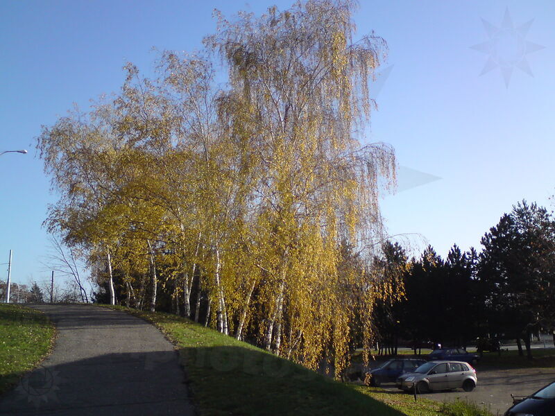 foto-5066.jpg
