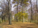 Sady Víta Nováka na podzim, vlevo pomník Víta Nováka, vpravo je znatelná hladina Orlice.