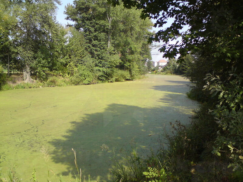 foto-4160.jpg