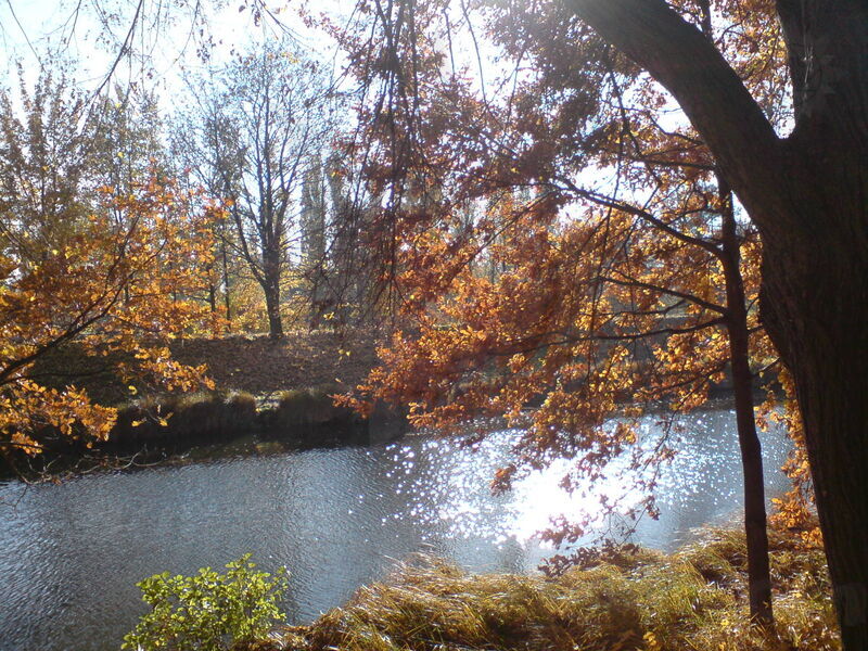 foto-0004.jpg