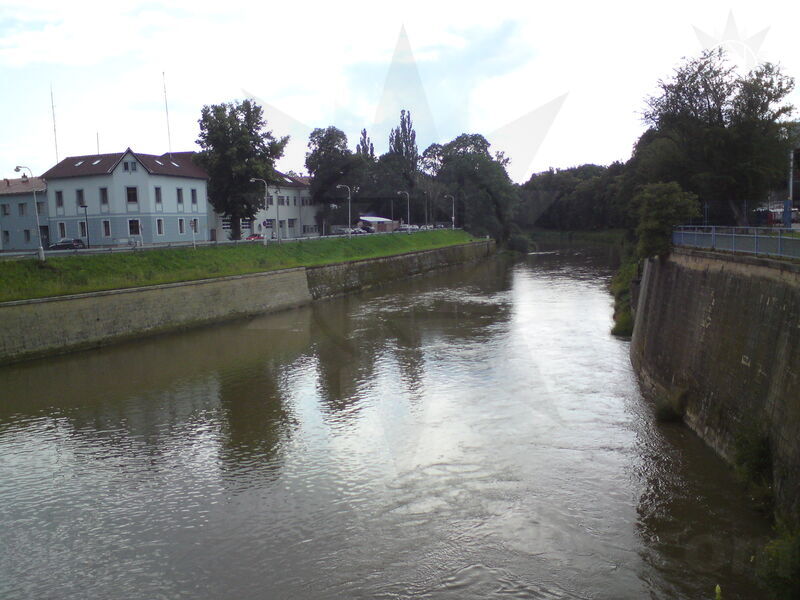 foto-1698.jpg