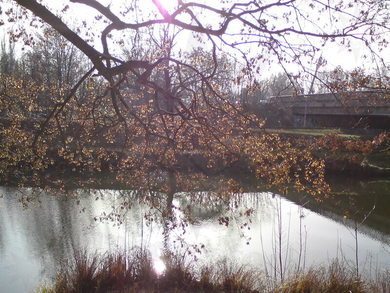 foto-5110.jpg