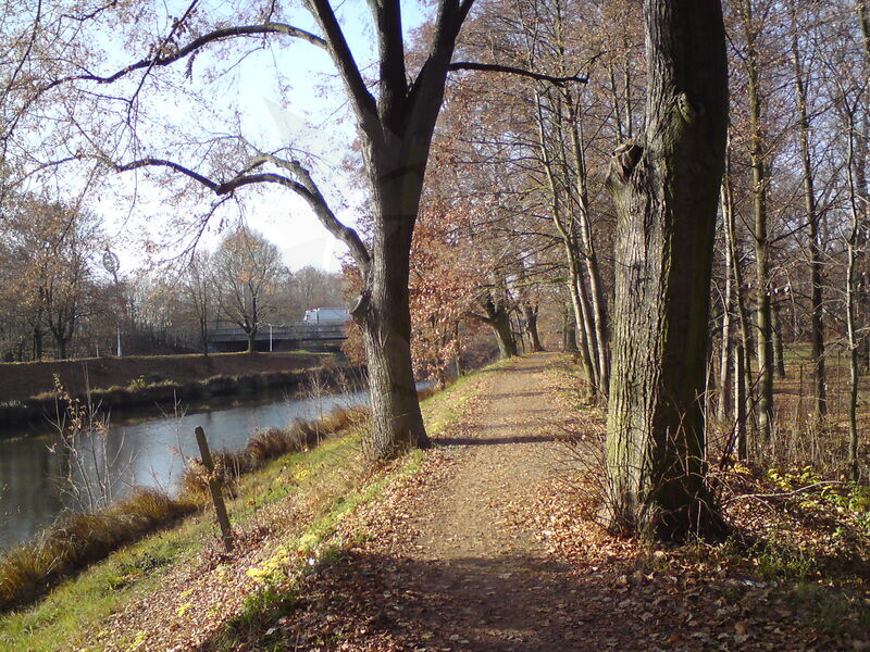foto-5119.jpg