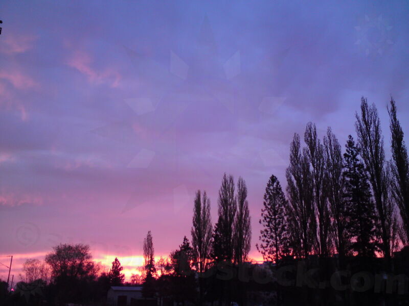 foto-0009.jpg