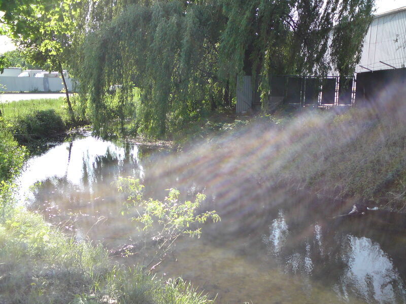 foto-0499.jpg