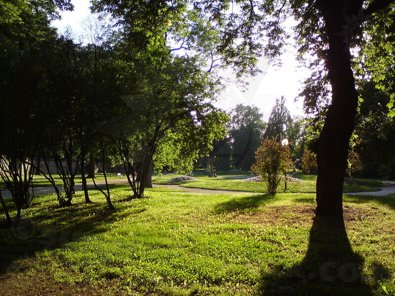 foto-1175.jpg