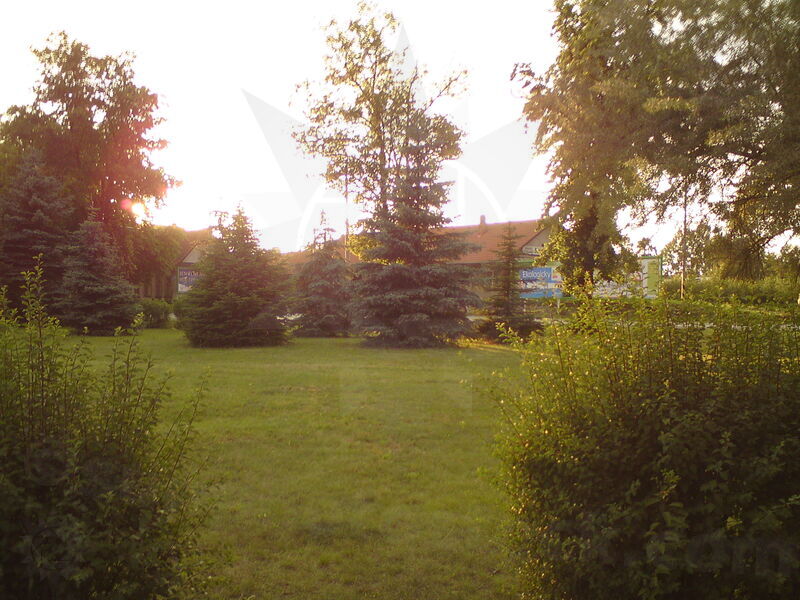 foto-2133.jpg