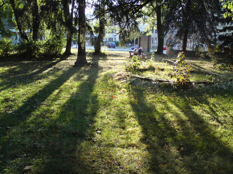 foto-3508.jpg