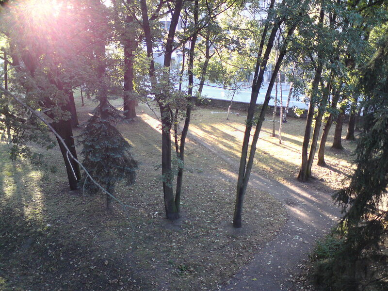 foto-3537.jpg