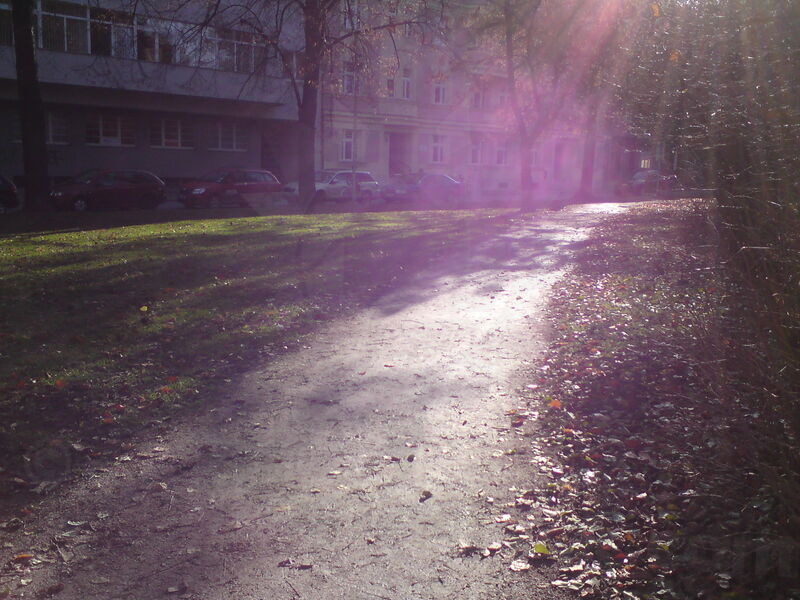 foto-4993.jpg
