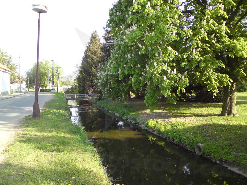 foto-0569.jpg