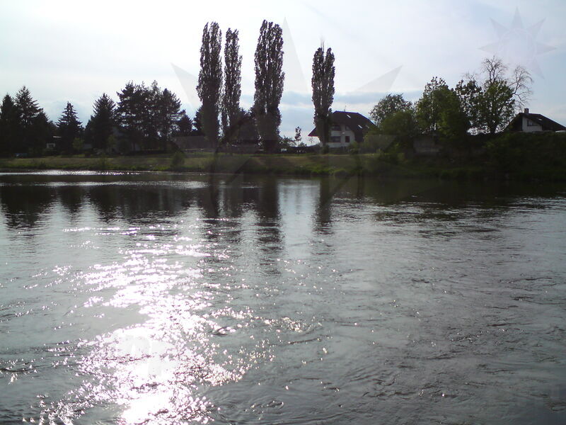 foto-0919.jpg
