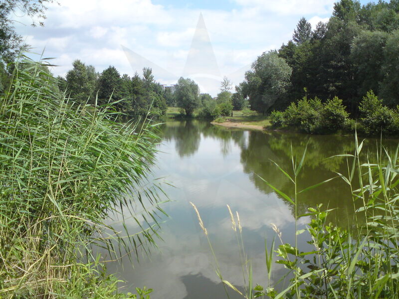 foto-1765.jpg