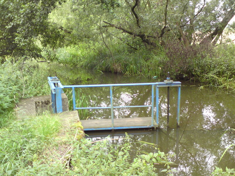 foto-2410.jpg