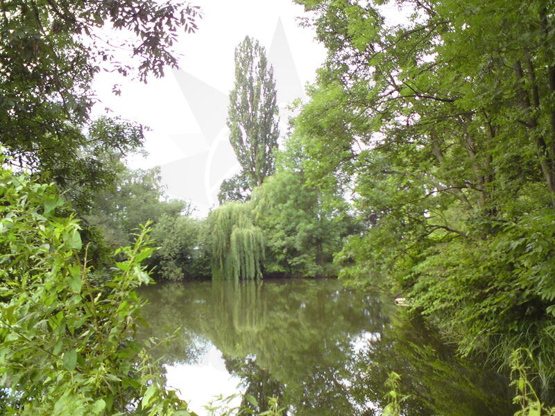 foto-2414.jpg