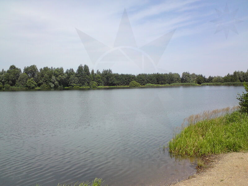 foto-2444.jpg