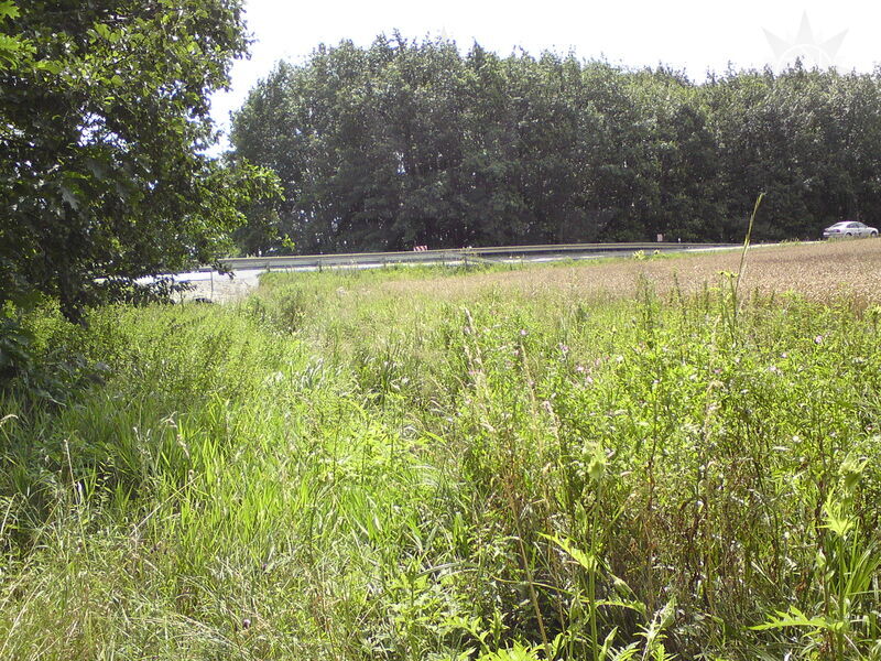 foto-2450.jpg