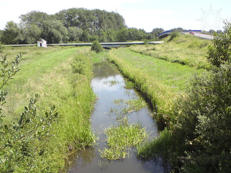 foto-2510.jpg