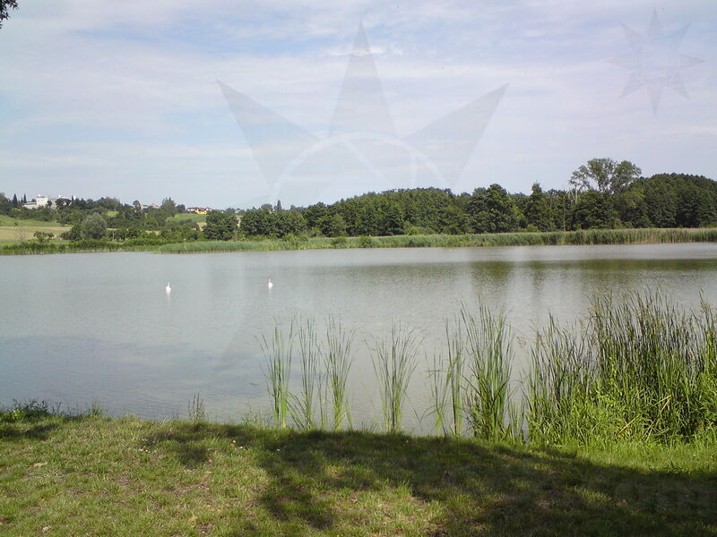 foto-2617.jpg