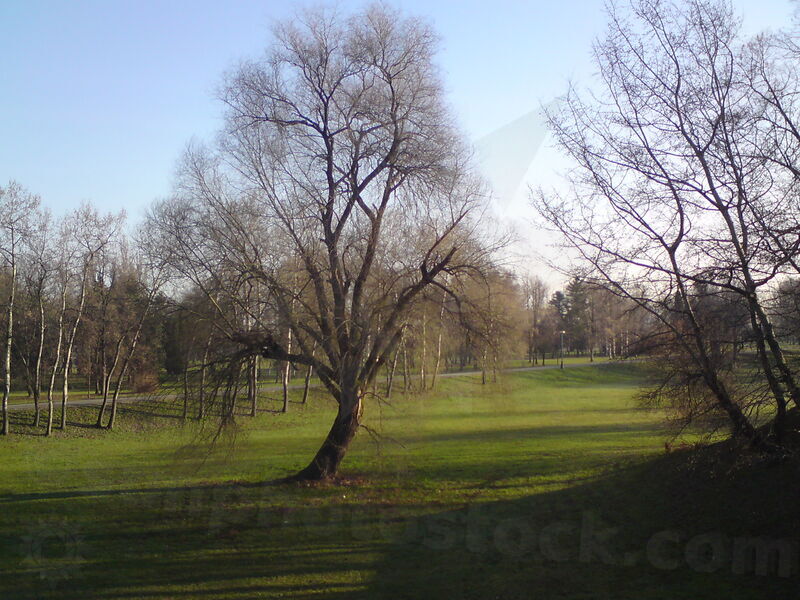 foto-0112.jpg