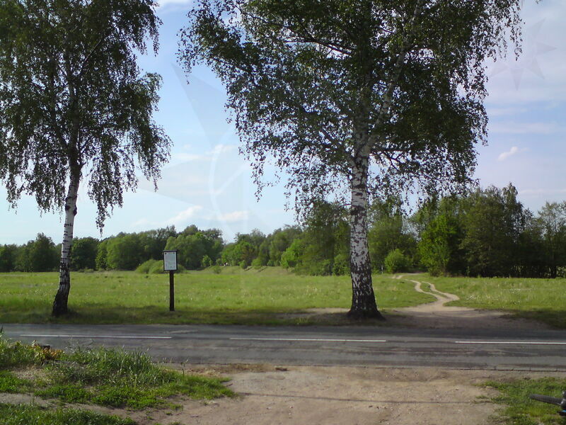 foto-0825.jpg