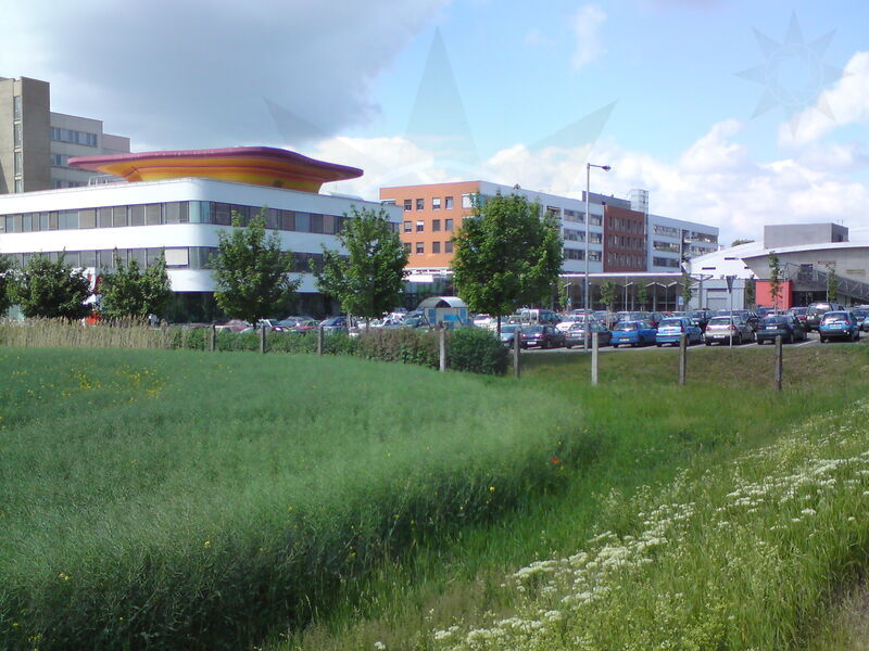 foto-1017.jpg