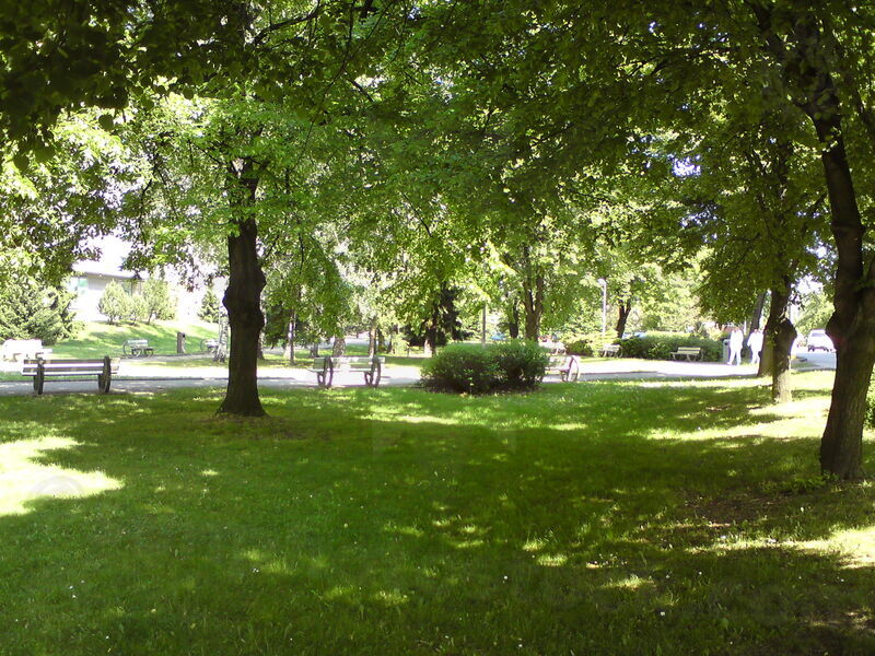 foto-1021.jpg