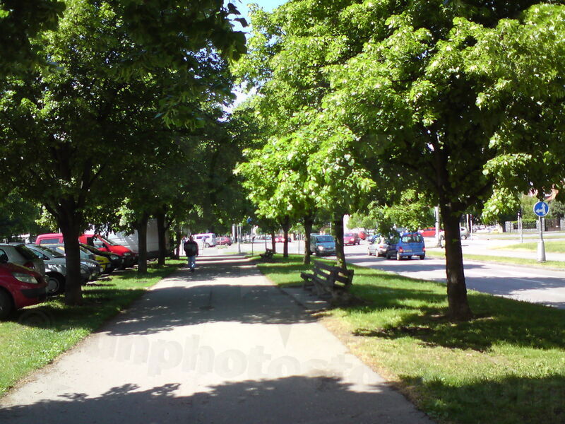 foto-1101.jpg