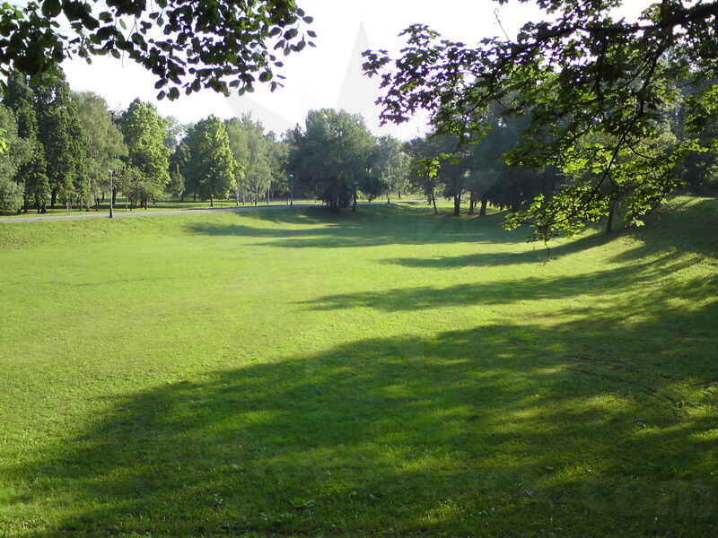 foto-1184.jpg