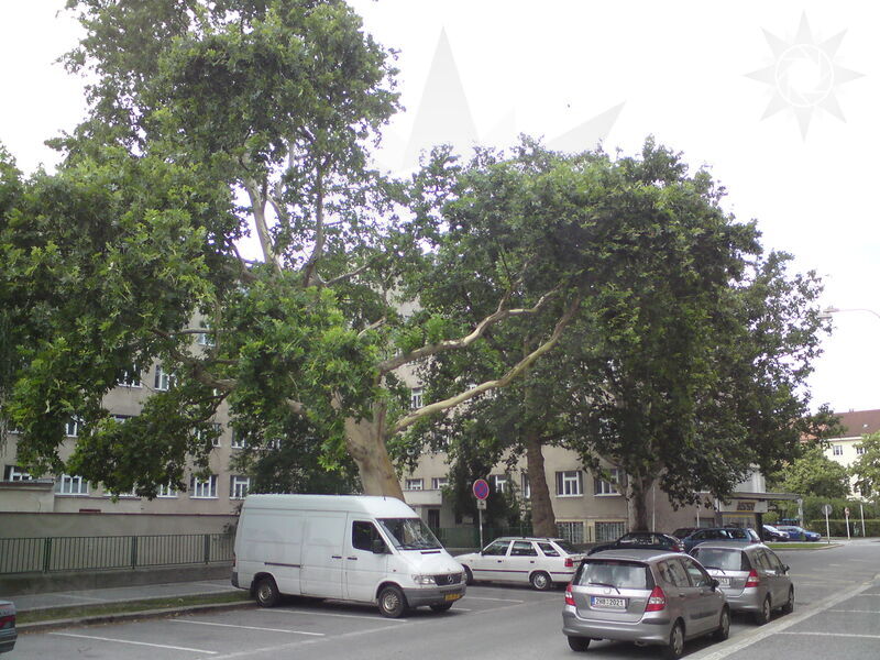 foto-1425.jpg