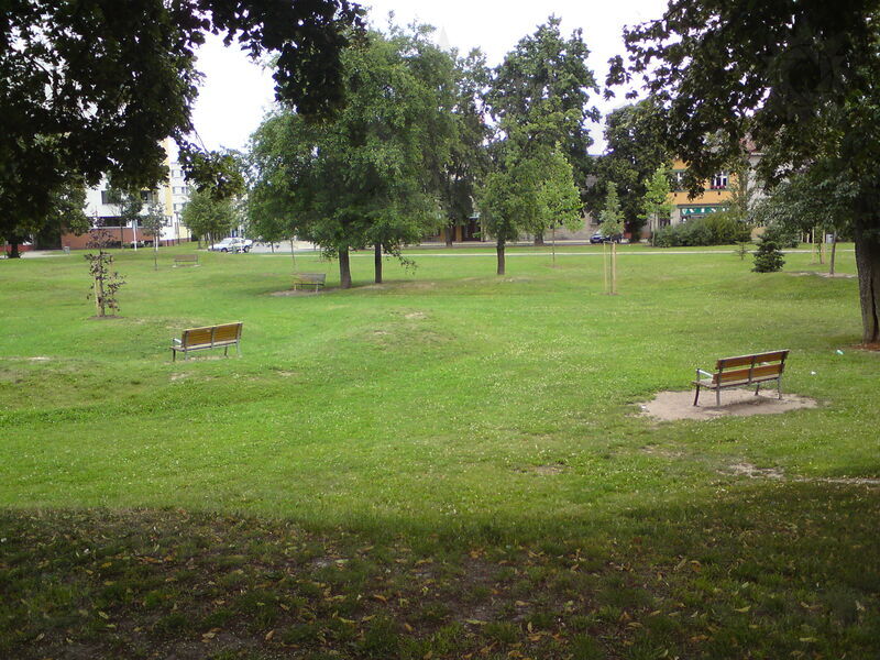 foto-1481.jpg