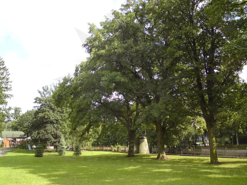 foto-1720.jpg