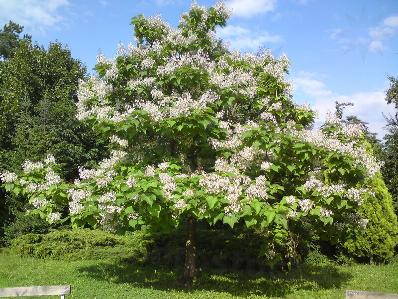 foto-1734.jpg
