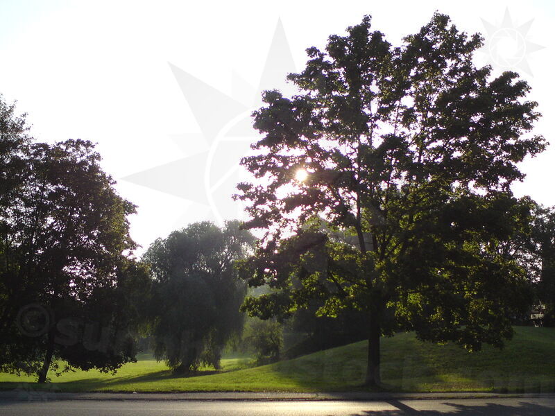 foto-2143.jpg