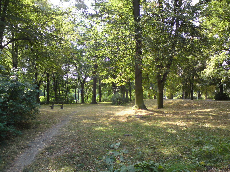 foto-4017.jpg
