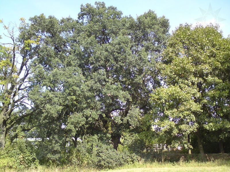 foto-4112.jpg
