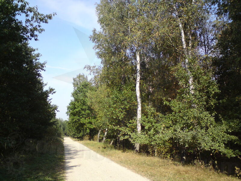 foto-4436.jpg