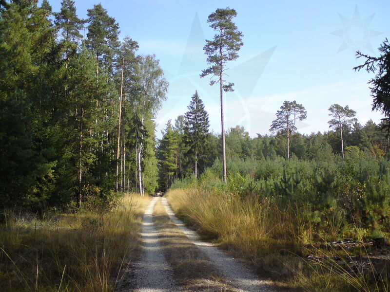 foto-4446.jpg