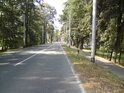 Ulice Brněnská se stezkou pro cyklisty se zelená.