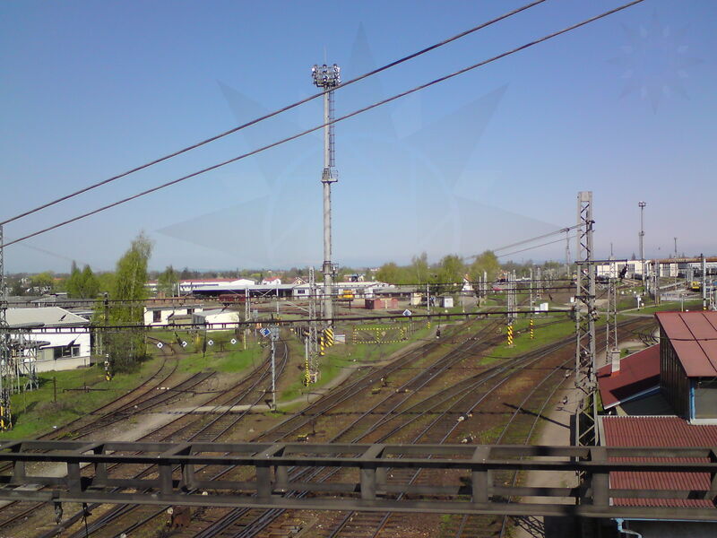 foto-0316.jpg