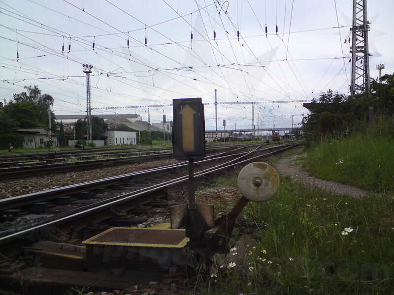 foto-1503.jpg