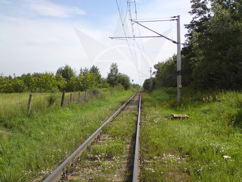 foto-2369.jpg