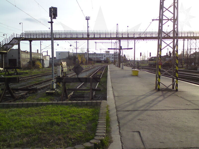 foto-5010.jpg