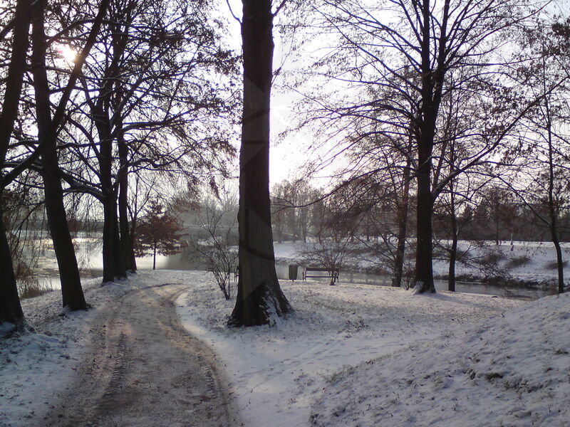 foto-5287.jpg