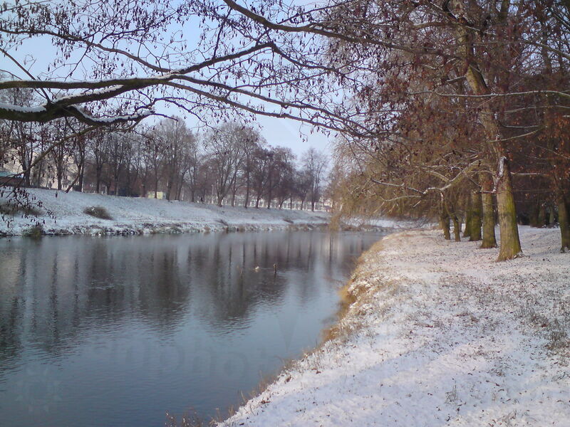 foto-5289.jpg