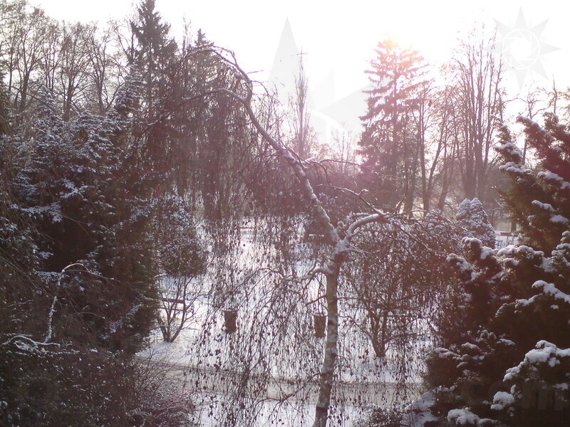 foto-5295.jpg